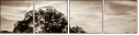 110890468