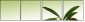 11107716