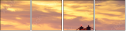 115585568