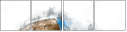119511538