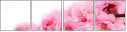 12025476