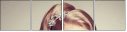 124845365