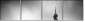 12547792