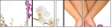 12605411