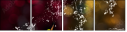 126510468