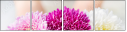 127926018