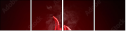 128050232