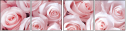 128745282