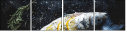 129092873