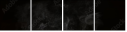 129617414