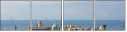 13077756
