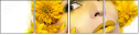 132593190