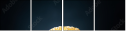 137553424