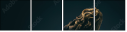 138000336