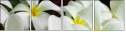 13848417