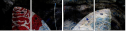 139107091