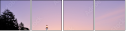 14245062