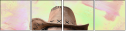 143669722