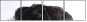 143750770