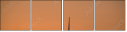 1443651