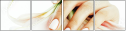 152237593