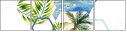 158331436