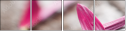 15999770