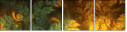 163652276