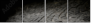16438072
