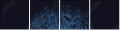 164648563