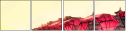16482006