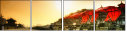 16482031