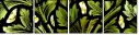 16903361