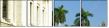 18153954