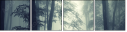 18166974