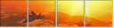 18518555