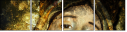 18978469