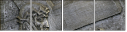 20059102