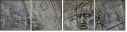 20059228