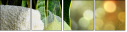 20386167