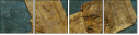 20884913