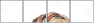212484110