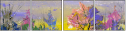 21414524