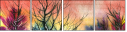 21415554