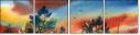 21416114