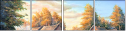 21443307