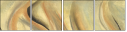 21450824