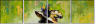 21588085