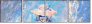 21631275