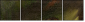21653701